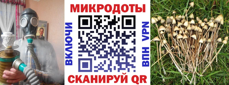 Галлюциногенные грибы MAGIC MUSHROOMS  Кущёвская 